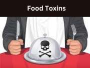 Food Toxins: உணவே நச்சாக மாறினால்? ஆரோக்கியமான பொருளாக இருந்தாலும் கவனம் தேவை...