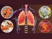 Lungs Detox: நுரையீரலை செலவின்றி டீடாக்ஸ் செய்ய... சில சூப்பர் உணவுகள் இதோ..!
