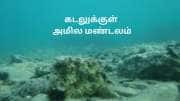 கடலுக்குள் மர்ம அமில மண்டலம்! அமிலம் உருவாவதால் நாடுகள் பாதிக்கப்படுமா? காரணம் என்ன?