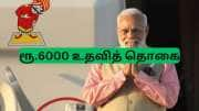 PM இன்டர்ன்ஷிப் திட்டம் 2025: ரூ.6000/மாதம் -  பெறுவது எப்படி என தெரிந்து கொள்ளுங்கள்