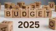 Budget 2025: மிடில் கிளாஸ் மக்களுக்கு மகிழ்ச்சியான செய்தி கிடைக்குமா?