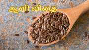 ஆளி விதையில் ஒளிந்திருக்கும் ஆயிரம் நன்மைகள்... தினம் ஒரு ஸ்பூன் போதும்