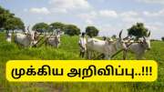 தஞ்சாவூர், திருப்பத்தூர் மாவட்ட விவசாயிகளுக்கு தமிழ்நாடு அரசு வெளியிட்ட குட் நியூஸ்..!