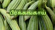 வெயிட் லாஸ் முதல் சுகர் லெவல் வரை... பீர்க்கங்காயை அலட்சியமாக நினைக்காதீங்க