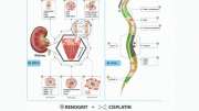 பதஞ்சலியின் வரலாற்றுச் சாதனை: உலகின் புகழ்பெற்ற ஜர்ணலில் சேர்க்கப்பட்டது சிறப்பு ஆராய்ச்சி