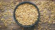 பார்லியில் இருக்கு எக்கச்சக்க நன்மைகள்: எந்த நோய்க்கு எப்படி சாப்பிடுவது? விவரம் இதோ