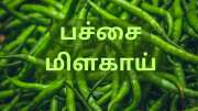 சுள்ளென்ற பச்சை மிளகாயில் நிறைந்திருக்கும்... சூப்பர் நன்மைகள்