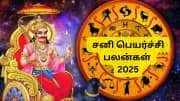 சனி பெயர்ச்சி 2025: மேஷம் முதல் மீனம் வரை.. 12 ராசிகளுக்கான பலன்கள்!