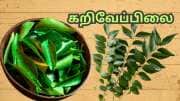 கொலஸ்ட்ரால் முதல் வெயிட் லாஸ் வரை... வெறும் வயிற்றில் 10 கறிவேப்பிலை போதும்