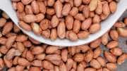 வேர்க்கடலை சாப்பிட்டால் இரத்த சக்கரை அதிகரிக்குமா? மருத்துவர்கள் சொல்வது என்ன?