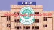 CBSE Result 2025: சிபிஎஸ்இ 10, 12 ஆம் வகுப்பு தேர்வு முடிவுகள்; எந்த தளத்தில் சரிபார்ப்பது
