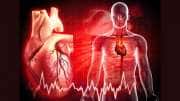 Blood Purifier: இரத்தத்தை இயற்கையாக சுத்தம் செய்ய உதவும்... சில மேஜிக் உணவுகள்