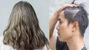 White Hair Home Remedies: நரை முடி போக்க சிறந்த வீட்டு வைத்தியம்