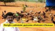 நாட்டுக்கோழி வளர்ப்பில் கோடீஸ்வரராக வேண்டுமா? திருநெல்வேலி மக்களுக்கு குட் நியூஸ்