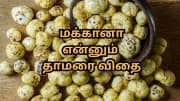 வெறும் வயிற்றில் 4 - 5 தாமரை விதை போதும்... உடலில் ஏற்படும் வியக்கத்தக்க மாற்றங்கள்