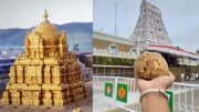 இனி திருப்பதியில் டக்குனு லட்டு வாங்கலாம்... தேவஸ்தானத்தின் புது ஐடியா - என்ன தெரியுமா?