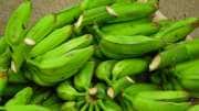 மூளை ஆற்றல் முதல்  வலுவான எலும்புகள்  வரை.... வாழைக்காயை குறைத்து மதிப்பிடாதீங்க