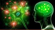 Brain Stroke: மூளை பக்கவாதத்தின் அறிகுறிகள் இவை தான்... நரம்பியல் நிபுணர் அளித்த முக்கிய தகவல்