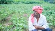 PM Kisan 20வது தவணை இவர்களுக்கு கிடைக்காது: காரணம் இதுதான், உடனே சரிசெய்ய இதை செய்யவும்
