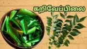 கொலஸ்ட்ரால் முதல் வெயிட் லாஸ் வரை... தினம் வெறும் வயிற்றில் 7 - 8 கறிவேப்பிலை போதும்