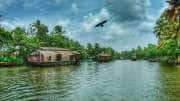ஆலப்புழா முதல் வயநாடு வரை... கேரளாவின் இயற்கை அழகு கொட்டிக் கிடக்கும் டாப் 5 இடங்கள்