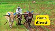 PM Kisan 21வது தவணை: இன்று கணக்கில் வருகிறதா ரூ.2,000? முக்கிய அப்டேட் இதோ PM Kisan 21வது தவணை: இன்று கணக்கில் வருகிறதா ரூ.2,000? முக்கிய அப்டேட் இதோ