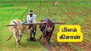 முக்கிய செய்தி: PM Kisan 21வது தவணையை கோவையிலிருந்து பிரதமர் மோடி நாளை வெளியிடுகிறார்