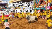 பாலமேடு ஜல்லிக்கட்டு: சிறந்த காளைகள், மாடுபிடி வீரர்களுக்கு... என்னென்ன பரிசுகள் கிடைக்கும்?