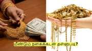 Jewelry loan: மீண்டும் நகைக்கடன் தள்ளுபடி? தேர்தல் நேரத்தில் முக்கிய அறிவிப்பு!
