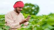 PM Kisan Update: பிஎம் கிசான் செயலி மூலம் e KYC செய்து முடிப்பது எப்படி? முழு செயல்முறை இதோ
