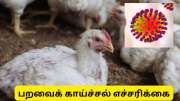 பறவைகள் மூலம் பரவும் தொற்று - அரசு வெளியிட்ட முக்கிய எச்சரிக்கை