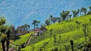 IRCTC Ooty Trip : வெறும் 15K இருந்தால் ஊட்டி போகலாம், IRCTC சிறப்பு டூர் பேக்கேஜ்