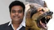 ஹாரிஸ் ஜெயராஜின் வளர்ப்பு நாய் செய்த காரியம்..இளைஞருக்கு ஏற்பட்ட ஆபத்து!