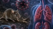 போச்சுடா! புதிதாக உருவெடுத்த Hantavirus..இதன் அறிகுறிகள் என்ன? உஷாராக இருப்பது எப்படி?