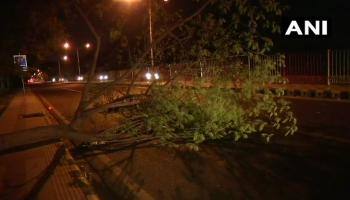 டெல்லியை கலங்கடித்த புழுதி புயல்: மீண்டும் எச்சரிக்கை! 