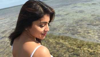 வைரலாகும் நடிகை ஸ்ரேயாவின் பிகினி புகைப்படம் -See pic! 