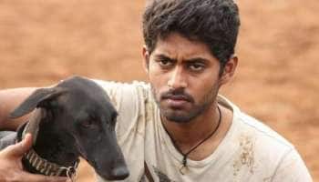 சீனாவில் திரையிடப்பட உள்ள “பரியேறும் பெருமாள்”