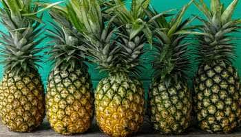 நோய் எதிர்ப்பு சக்தியை அதிகரிக்கும் அன்னாசிப் பழம்...