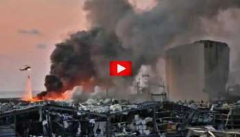 பெய்ரூட் குண்டு வெடிப்பு: வைரல் வீடியோவில் காணப்பட்ட கொடூரங்கள்....See Video