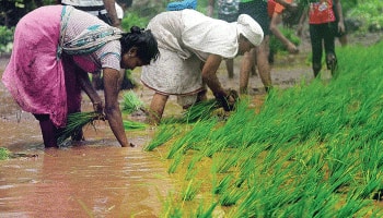 பயிர்களுக்கு சிறந்த விலை, விவசாயிகளுக்கு ஒரு லட்சம் கோடி பரிசு: பிரதமர் மோடி அறிவிப்பு