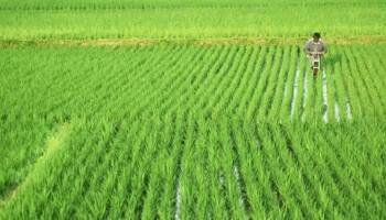 PM-KISAN Scheme: ஆண்டுக்கு ரூ .6,000 பெற எந்த விவசாய குடும்பங்கள் தகுதியற்றவை?