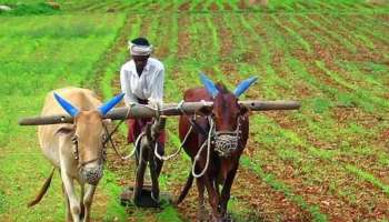 விவசாயிகளுக்கு மோடியின் New Year Gift: இந்த தேதியில் கிடைக்கும் PM Kisan தவணை 
