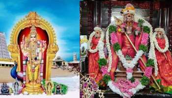 Vaikasi Visakam: சிவகுமரன் அறுமுகன் முருகனின் பிறந்தநாள் வைகாசி விசாகம்