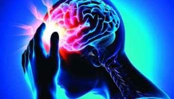 Brain Health: இந்த ‘5’ உணவுகள் மூளையை டேமேஜ் செய்யும்..!!!