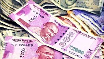 EPFO: 24 கோடி ஊழியர்களின் PF கணக்கில் வந்த வட்டிப் பணம்