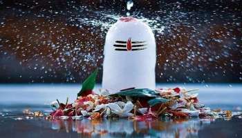 மகா சிவராத்திரி 2022: சிவலிங்க பூஜையில் மறந்தும் இந்த பொருட்களை பயன்படுத்தாதீர்கள்