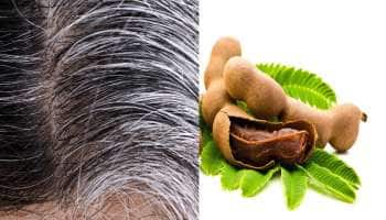 Hair Treatment: வெள்ளை முடியை கருமையாக்கும் புளி; பயன்படுத்துவது எப்படி