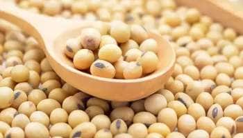 Health News: சோயாவின் நன்மைகளை சொல்லி மாளாது, கண்டிப்பா சாப்பிடுங்க