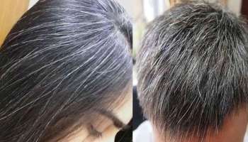 Grey Hair: நரை முடியை கருமையாக்கும் காபி டிகாக்‌ஷன்; பயன்படுத்துவது எப்படி!