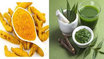 Skin Care: சரும பாதுகாப்பில் வேப்பிலை - மஞ்சள் கூட்டணி செய்யும் அற்புதங்கள்..!